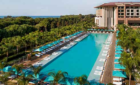 Sonbahardarc 1270X600p Rc23 Dp Card