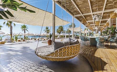 Newsletter Alia 490X300 Rc24