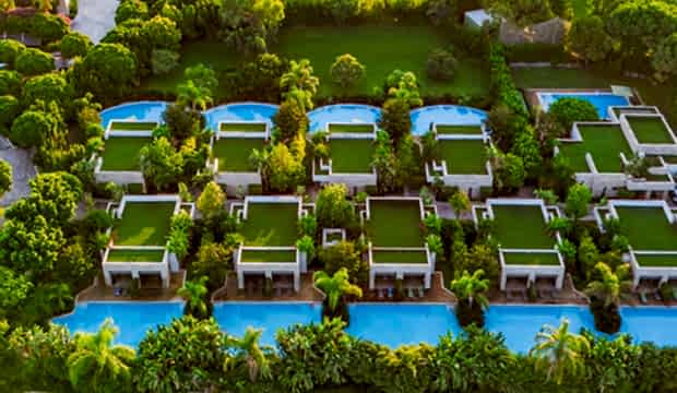 Regnumcarya Post86 S