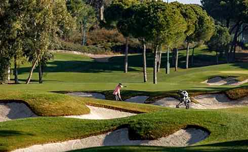 Regnum Haberler 220623 Card